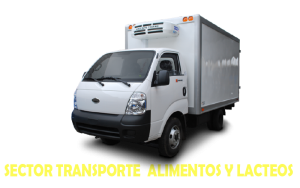 CLIENTE 5